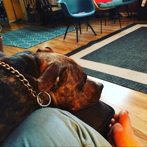 Meet your Posher, Michelle